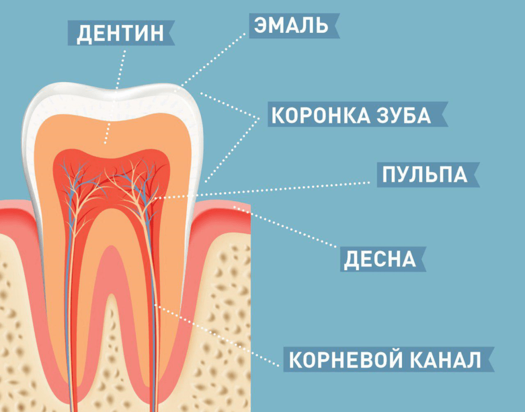 болят зубы от холодного